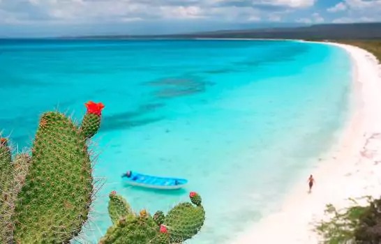 Bahía de las Águilas tiene capacidad para recibir 3,500 turistas diarios