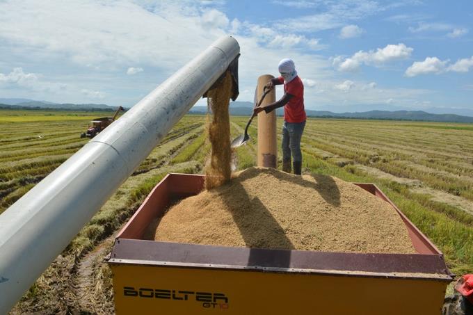 Gobierno tomará medidas necesarias para salvaguardar y proteger a los arroceros