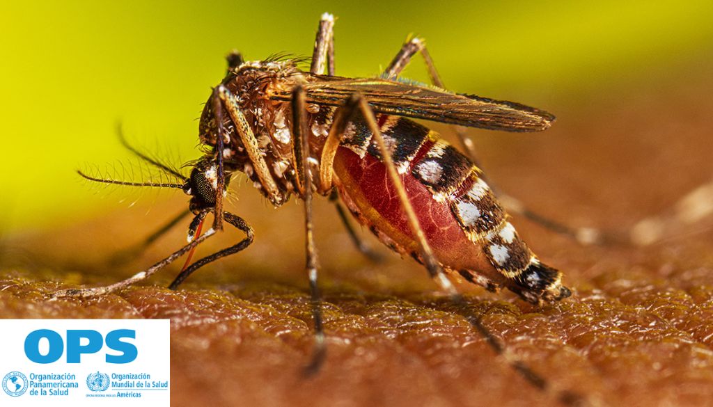 RD entre países con incidencia más alta en dengue de la región