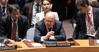 El Consejo de Seguridad de la ONU no permite intervenir a la defensora del pueblo de Donetsk