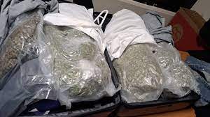 Incautan 34 paquetes de marihuana camuflados en fundas de almohada