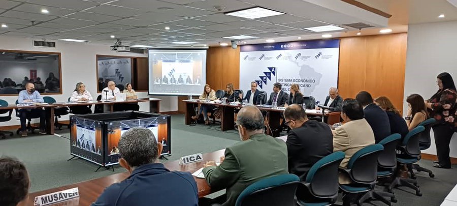 La ONU dará asistencia técnica a Venezuela sobre hongo destructivo que ataca plantas de plátano