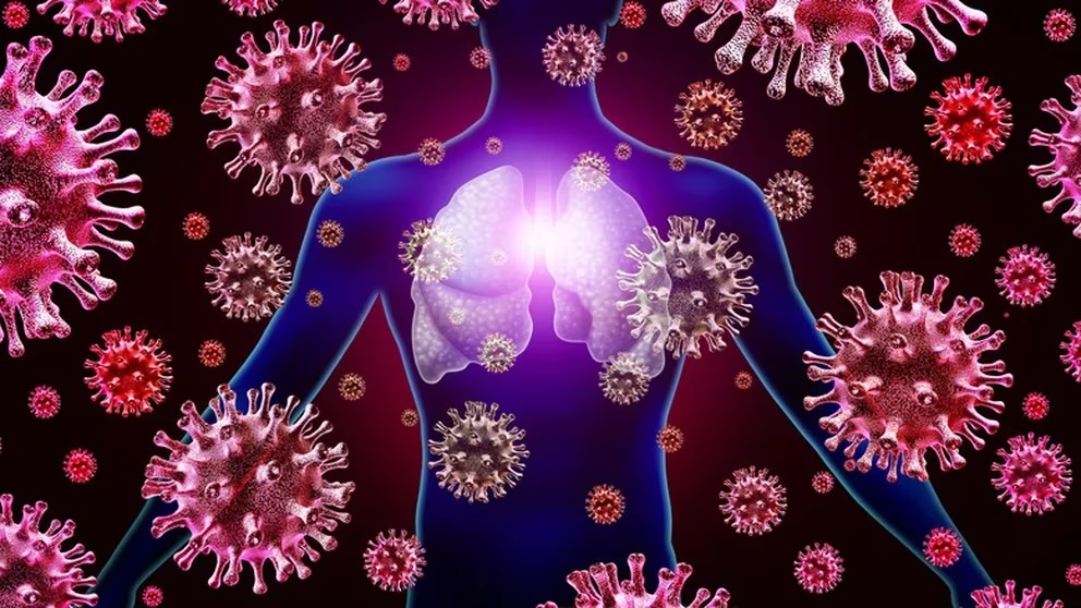 Gripe aviar, Viruela del Mono y Marburgo: ¿están surgiendo más virus hoy?