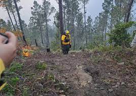Medio Ambiente informa incendio forestal en Valle Nuevo está controlado