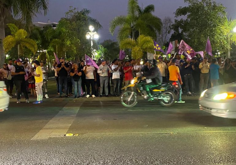 Apresamiento de Gonzalo Castillo despertó al PLD