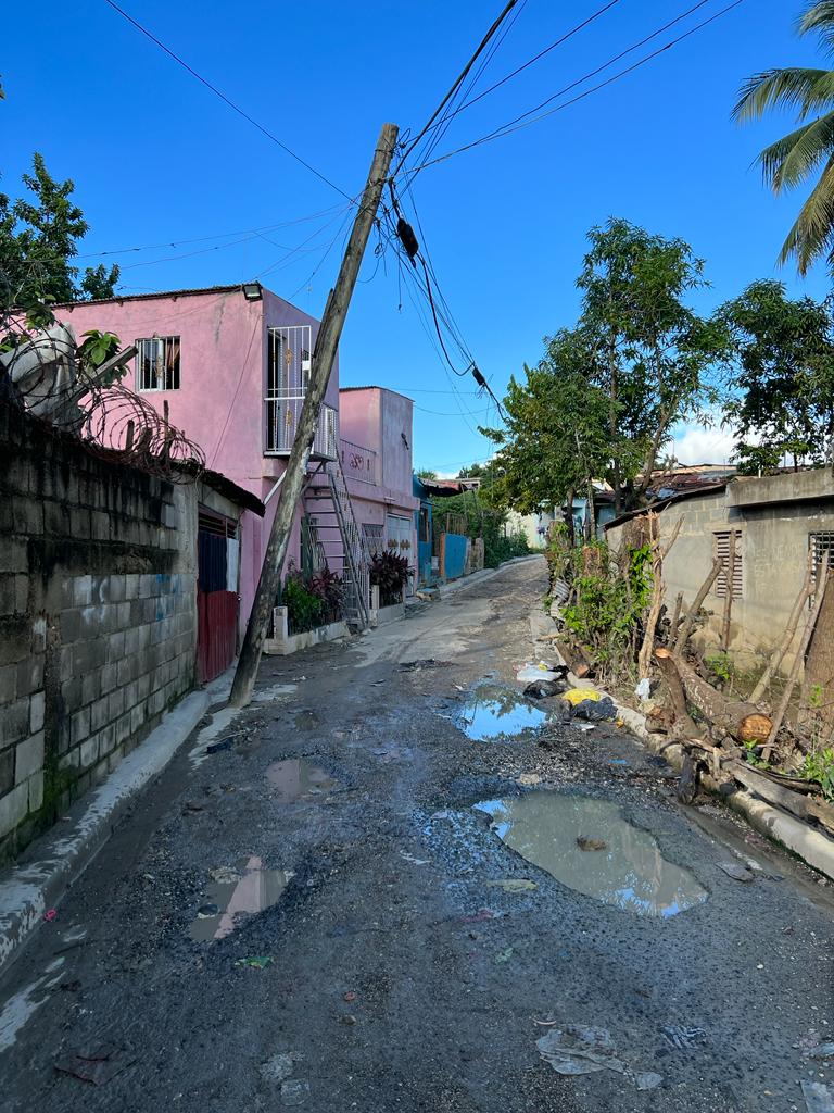 Moradores de Cancino Adentro solicitan a Salud Pública fumigar contra mosquitos