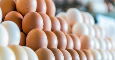 Los huevos: un símbolo de la inflación en América