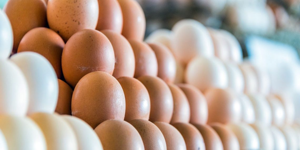 Los huevos: un símbolo de la inflación en América