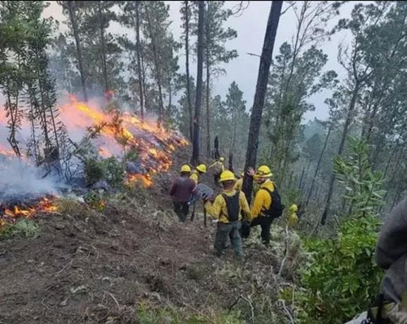 Incendios forestales atacan en distintas zonas del país