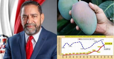 Cónsul NY destaca crecimiento exportación de mango dominicano a EEUU y vaticina mejorará  cuando el USDA  reinstale pre chequeo en RD