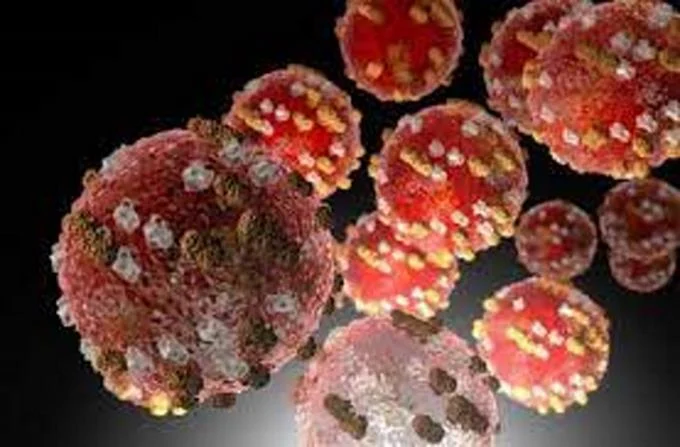 Se multiplican las zoonosis, enfermedades transmitidas por animales