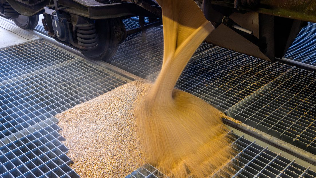 Eslovaquia prohibirá la importación de cereales ucranianos mientras Bulgaria evalúa un paso similar