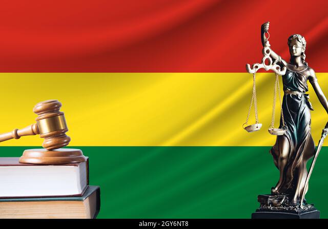La Justicia boliviana dicta 6 meses de prisión preventiva para el líder derechista Fernando Camacho