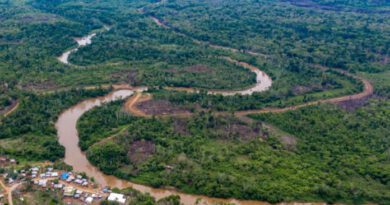 Panamá detiene delincuentes que robaban y abusaban de migrantes en la selva del Darién
