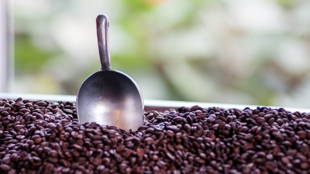 ProDominicana exhibe industria cafetalera dominicana en la feria internacional Specialty Coffee Expo 2023, en Estados Unidos