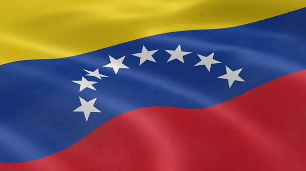 Venezuela condena "el cobarde ataque terrorista" contra el corresponsal de guerra ruso