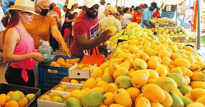 Mango: una fruta que gusta en todas las temporadas
