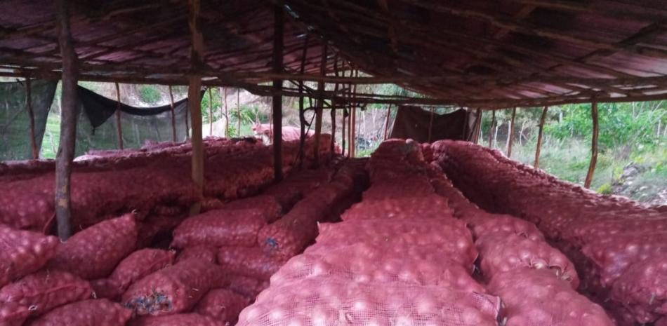 Ministro de agricultura afirma no le debe “un solo centavo” a los productores de cebolla