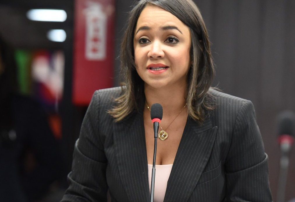 Faride califica como un chantaje de la oposición sopesar participación en elecciones por resolución de la JCE