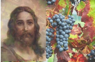 PALABRA DE DIOS MIERCOLES DE LECTURA Yo soy la vid, ustedes los sarmientos; el que permanece en mí y yo en él ése da fruto abundante.