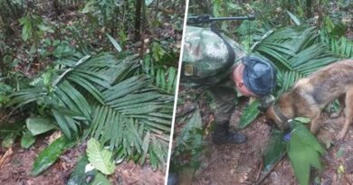 Colombia: Encuentran con vida a cuatro menores que estuvieron 17 días desaparecidos en la selva tras accidente de avioneta