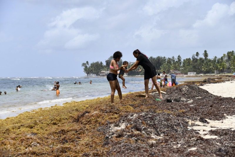 Sargazo trastorna actividades turísticas y comerciales en playas dominicanas