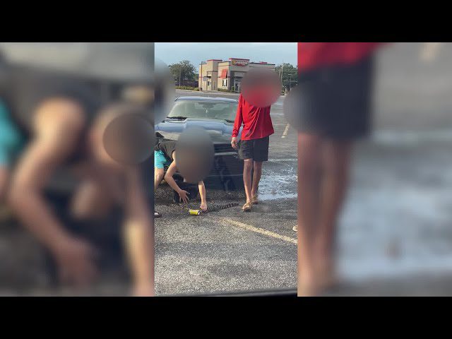 Acusan de maltrato a adolescente por beber de una lata mordida por una cría de caimán
