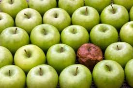 PALABRA DE DIOS MIERCOLES DE LECTURA Todo árbol bueno da frutos buenos y el árbol malo da frutos malos.