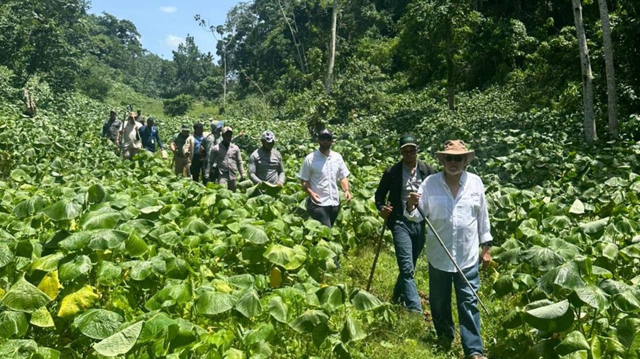Ministro de Medio Ambiente inspecciona vertiente norte de Los Haitises