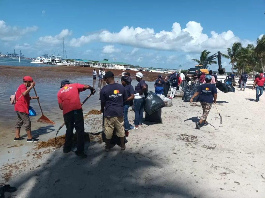 Gobierno realiza operativo de limpieza para retirar sargazo en la playa de Boca Chica