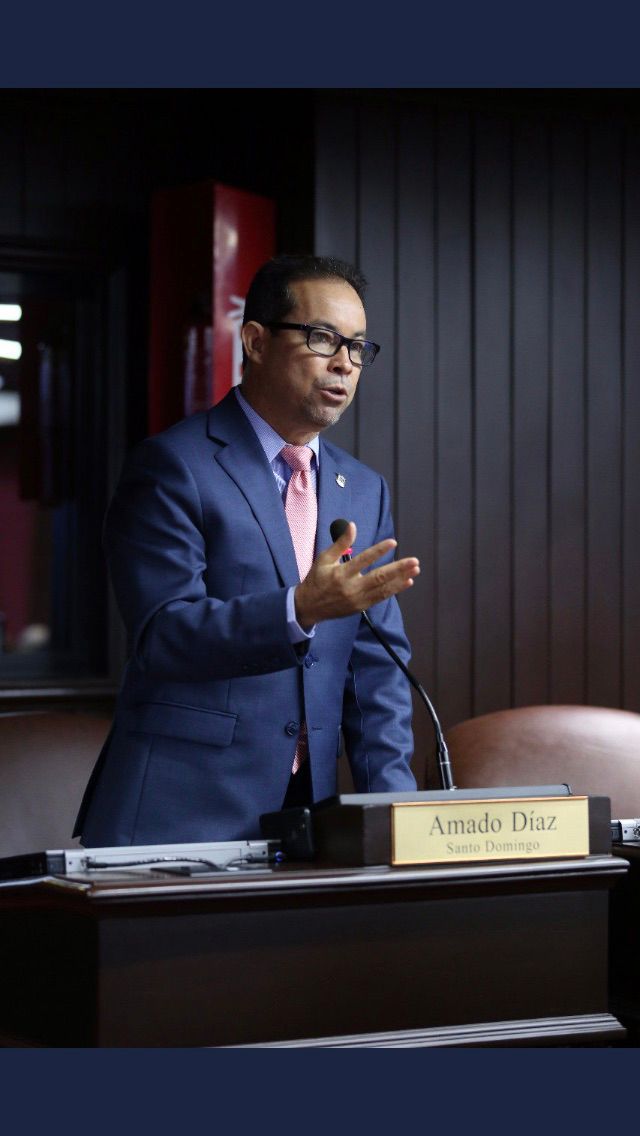 Seguridad ciudadana del PRM respalda presidente asuma tema directamente