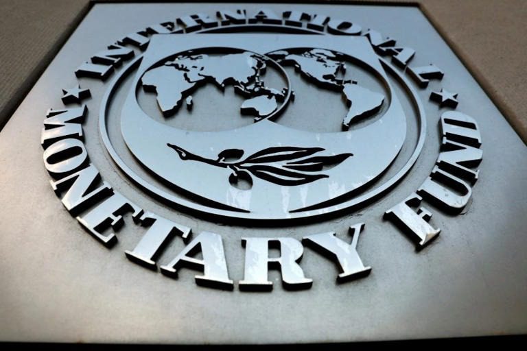 Misión de Argentina viaja a Washington para negociar con FMI: portavoz