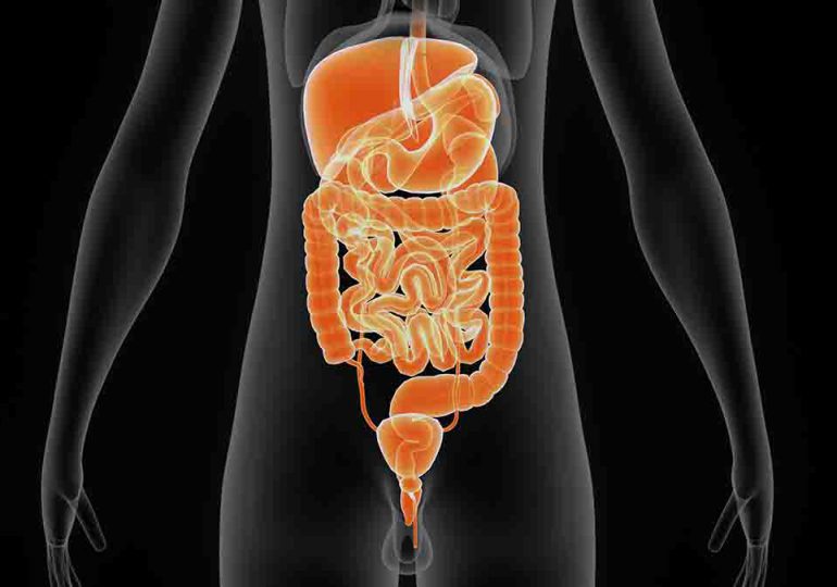 Gastro Summit 2023: Expertos en gastroenterología se reunirán para compartir avances y transformar la atención médica en la región