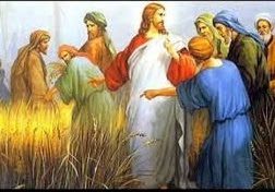 PALABRA DE DIOS VIERNES DE LECTURA Misericordia quiero y no sacrificios.