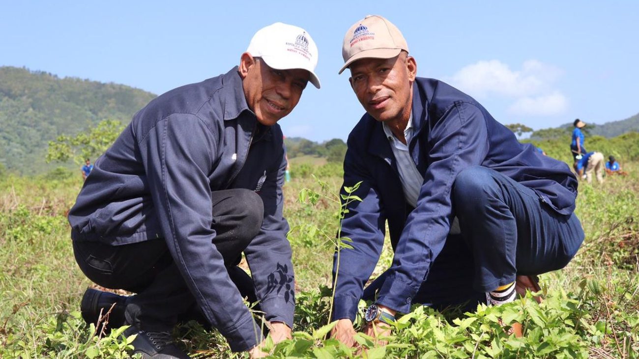 Ministerio de Medio Ambiente y de Defensa fortalecen cuenca del río Haina con la siembra de caoba y cedro