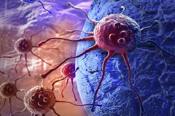 Cáncer: el misterio de microbios que viven dentro de los tumores