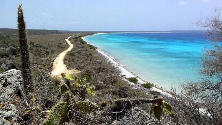 Los nuevos destinos turísticos internos: la otra apuesta del país