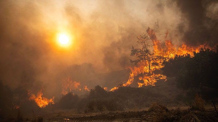 El fuego sigue propagándose en Grecia, Italia y Argelia impulsado por las altas temperaturas y el viento