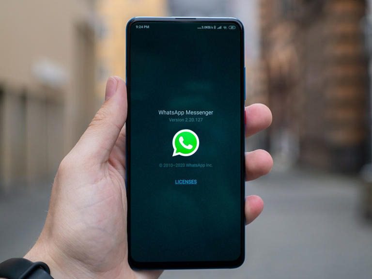 WhatsApp revela como enviar imágenes y videos con máxima calidad