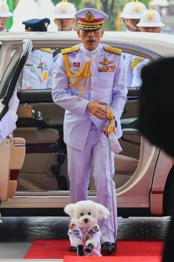 El día que el rey de Tailandia, Rama X, nombró mariscal del ejército a su perro