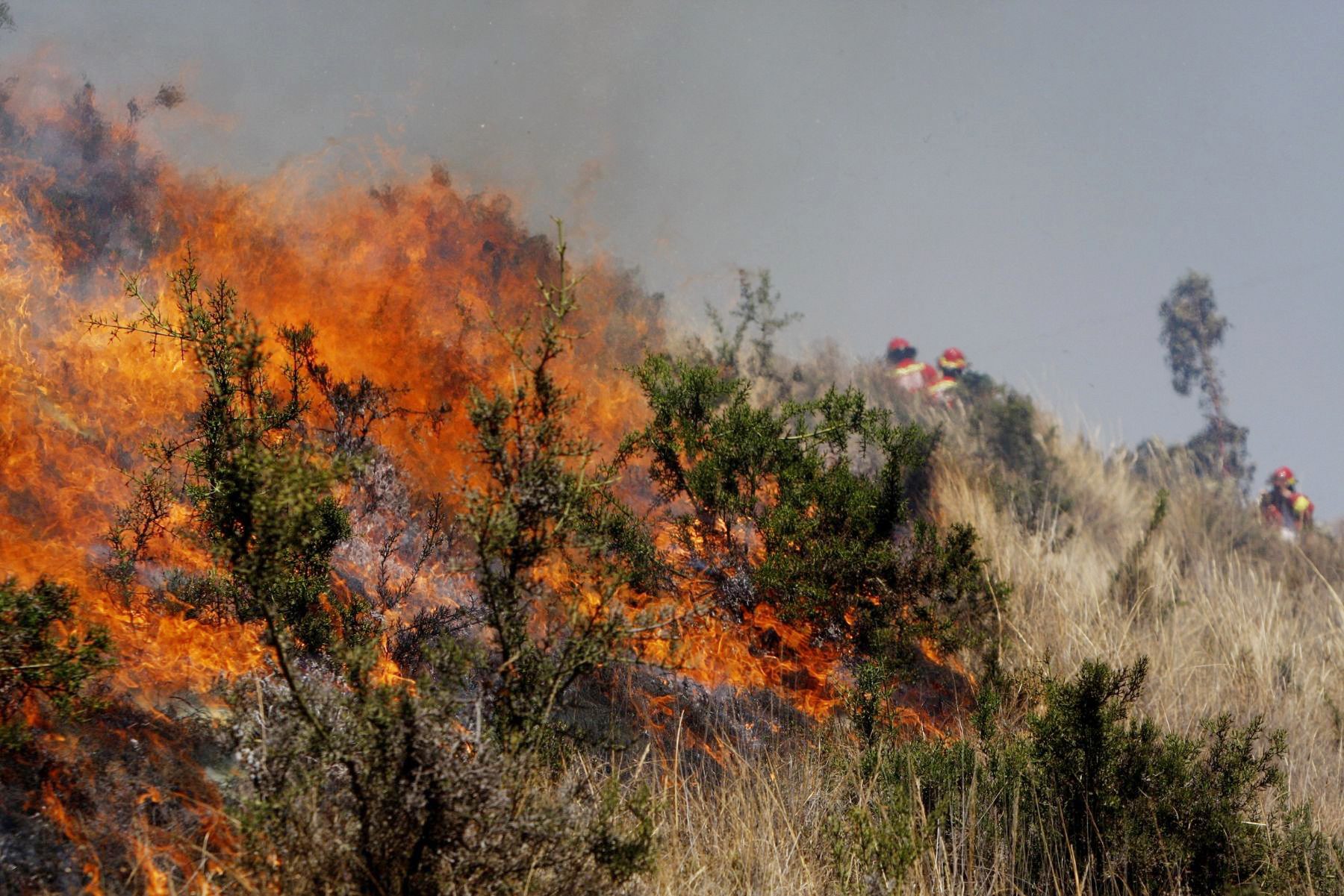 Incendio forestal en Perú deja tres fallecidos y otras tres personas con quemaduras graves