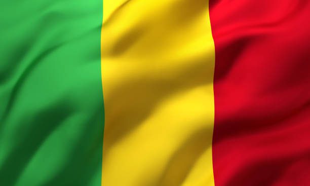 Malí suspende la emisión de visas en Francia