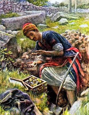 PALABRA DE DIOS MIERCOLES DE LECTURA El Reino de los cielos se parece a un tesoro escondido en un campo. 