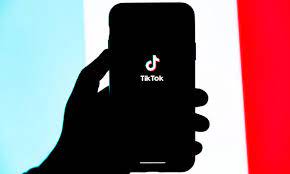 TikTok: Usuaria asegura que le ofrecieron 70 mil dólares para ‘clonarla’