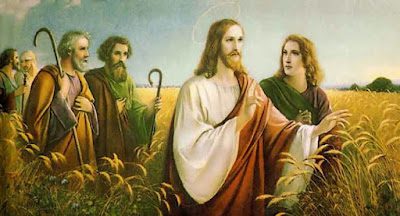 PALABRA DE DIOS SABADOS DE LECTURA “El Hijo del hombre también es dueño del sábado”.