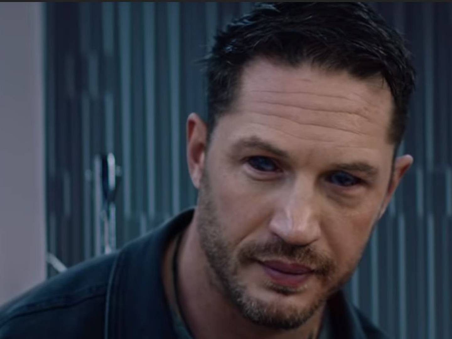 Nombran especie de araña recién descubierta en honor a Tom Hardy y su personaje, Venom