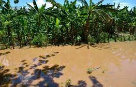 Productores agropecuarios de Cañongo serían los más afectados con construcción de canal