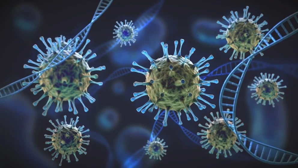 COVID-19: cuáles son los factores genéticos que podrían determinar la gravedad de la enfermedad