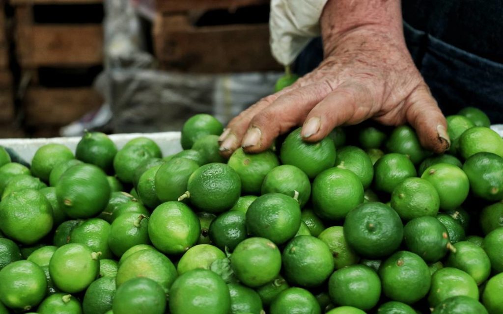 Aumenta el precio del limón en México por extorsiones a productores