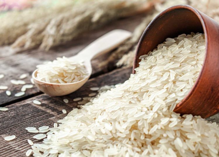 Arroz, tabaco y cacao, los rubros con más créditos desembolsados por el Bagrícola